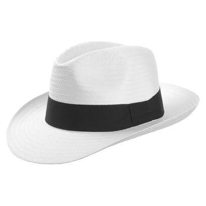 Chapeau en Paille White Mountain by Lipodo - CHF 27.95