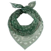 Paisley Seidentuch by Fraas - CHF 44.95