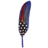Plume de Chapeau by Stetson - CHF 2.95